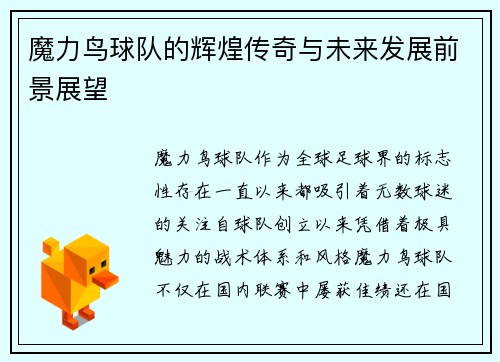魔力鸟球队的辉煌传奇与未来发展前景展望 魔力鸟球队的辉煌传奇与未来发展前景展望